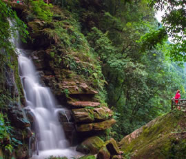 碧峰峽、上里古鎮(zhèn)二日游
