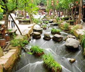 千年水碼頭、古鎮(zhèn)黃龍溪一日游